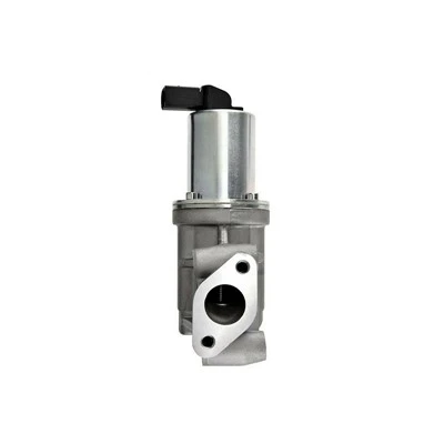 284102A120 Katup EGR Otomotif untuk Aplikasi HYUNDAI ERA:555124